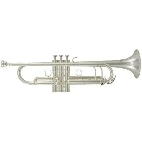 ROY BENSON TR 202S