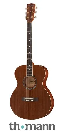🎸 Harley Benton CG-45 NS