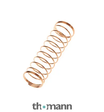 Thomann Valve Spring A383 19,0x63,0