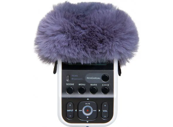 Roland R07-WS Proteção de Vento para Roland R-07