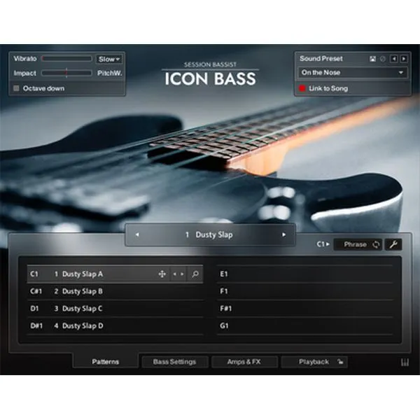 Native Instruments Session Bassist Icon Bass