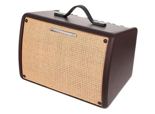 Ibanez T30II Acoustic Combo
