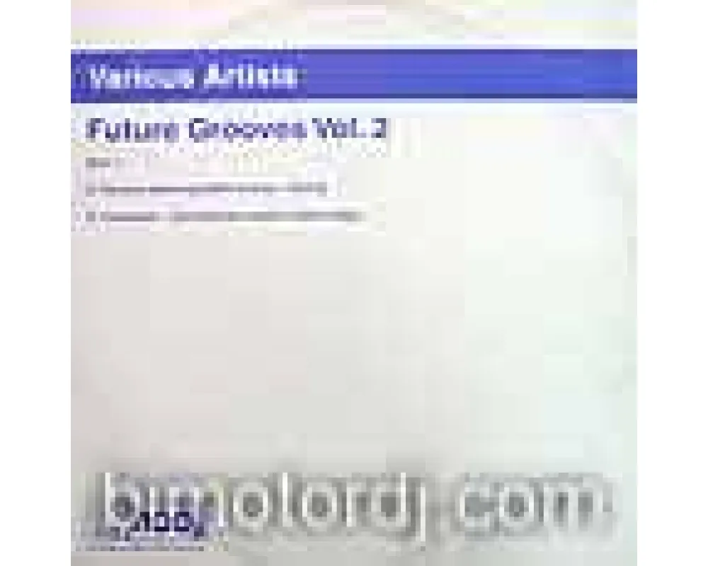 v.a. - future groove (vol 2)