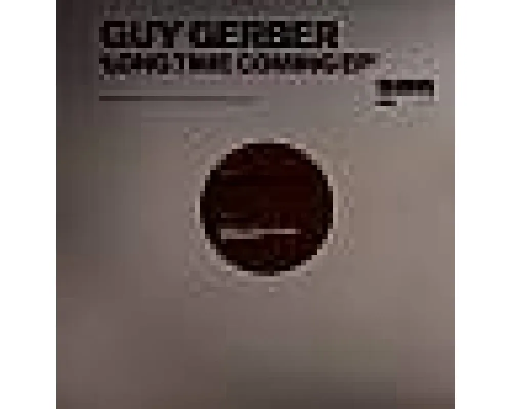 Guy Gerber - long time coming