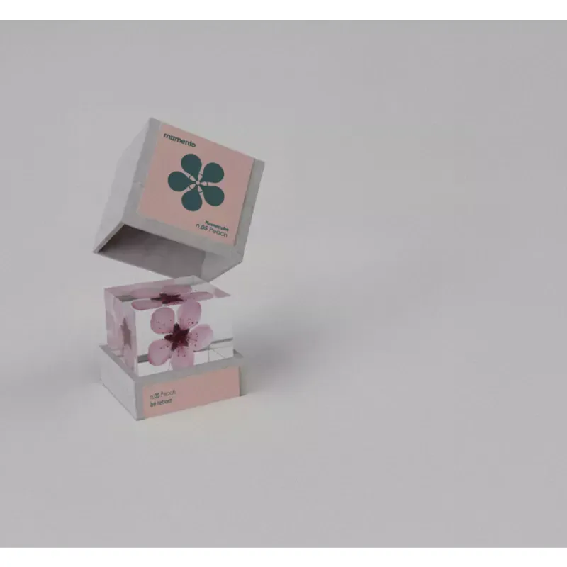 Momento - Pisa papéis FlowerCube (flor de pêssego)