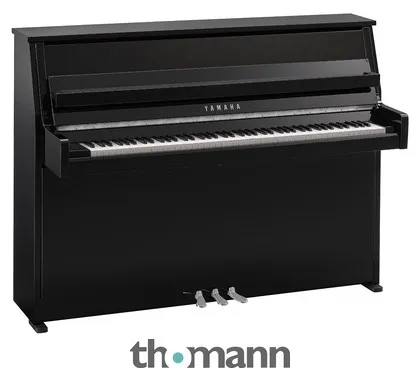 Yamaha B10 PEC