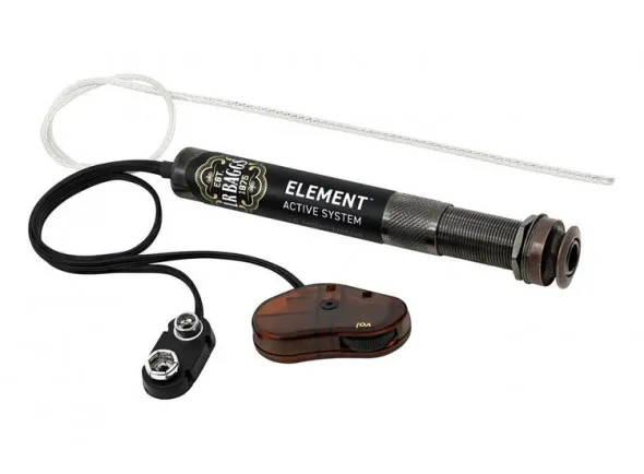 L.R.Baggs Element Active System VTC