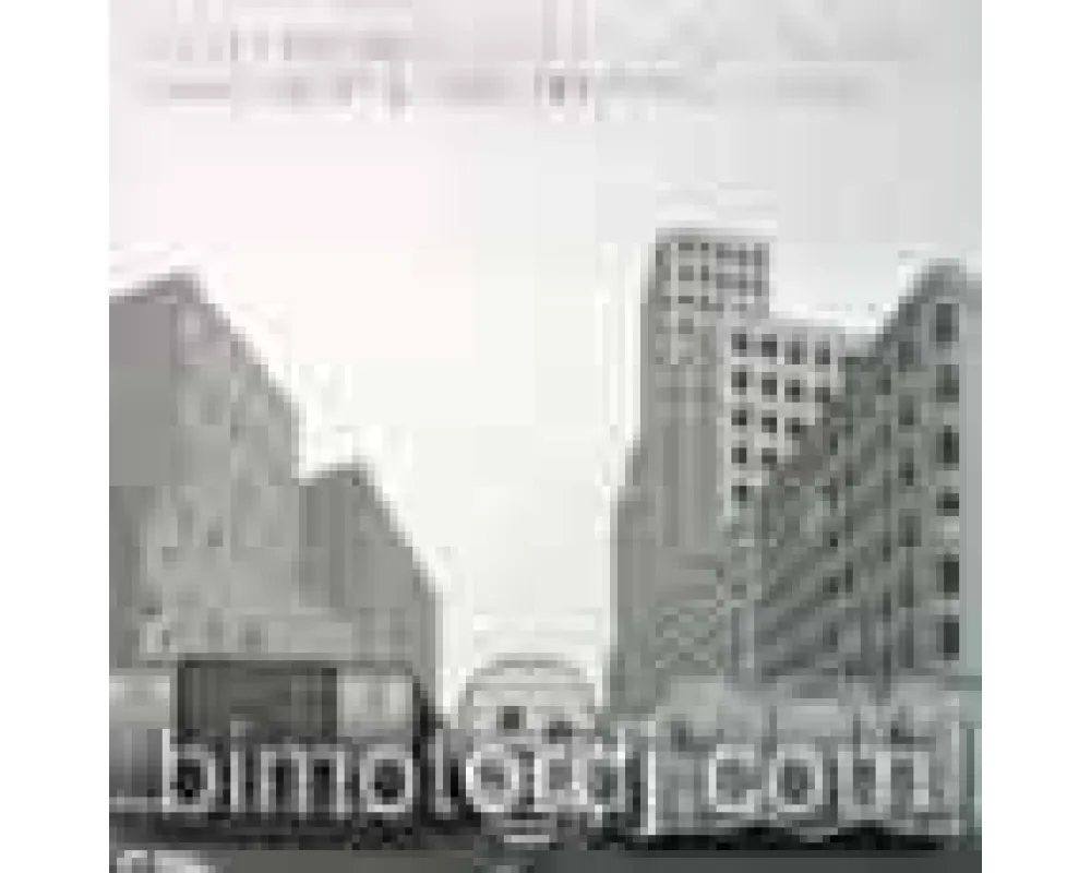 mojo project - could you rmx
