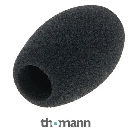 Sennheiser MZW1
