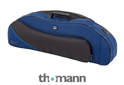 Artonus Elipe Violin Case 4/4 N2