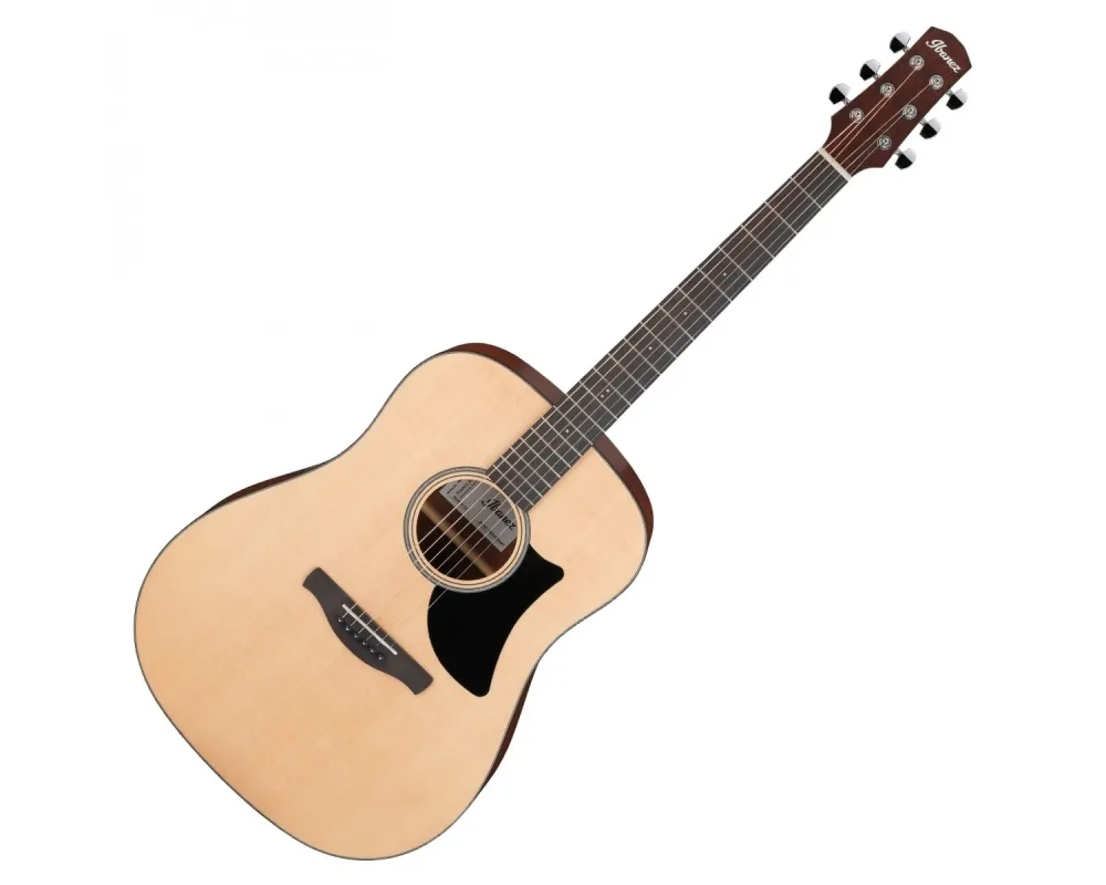 Ibanez AAD50-LG