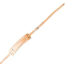 Correia Guitarra Fender Deluxe Vintage Style Natural