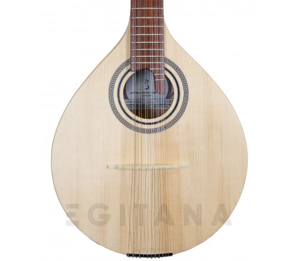 APC GF 305 CB Cadete