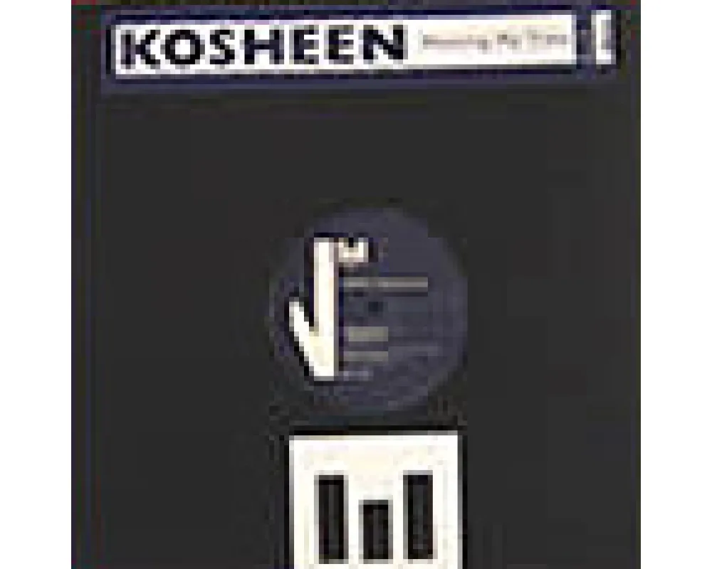 kosheen - wasting my time