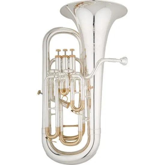 Eastman Professional EEP624GS Gold Plated Slides