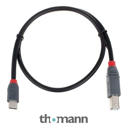 Lindy 0,5 m USB 2.0 Typ C/B Anthra