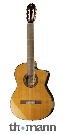 Takamine EC132SC w/Softcase