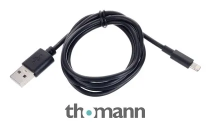 Ansmann Lightning/ USB-A 100