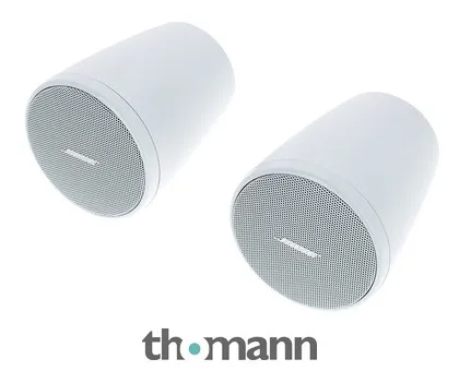 Bose Professional FreeSpace FS2P white