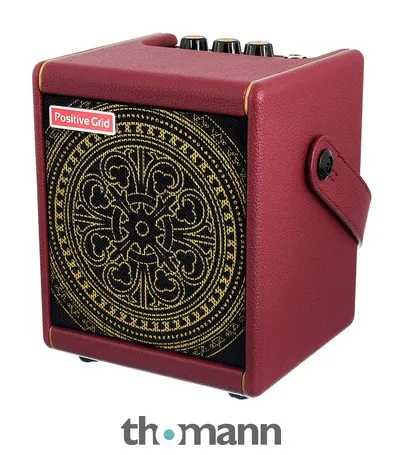 Positive Grid Spark Mini VAI