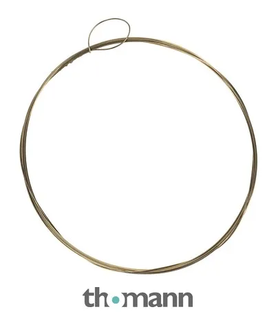 Thomann Nataraj Toombi Single String