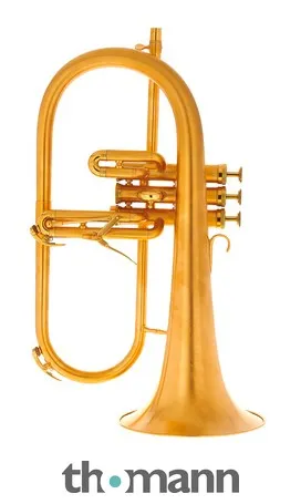 Adams F1 GM Custom 050 160 GP