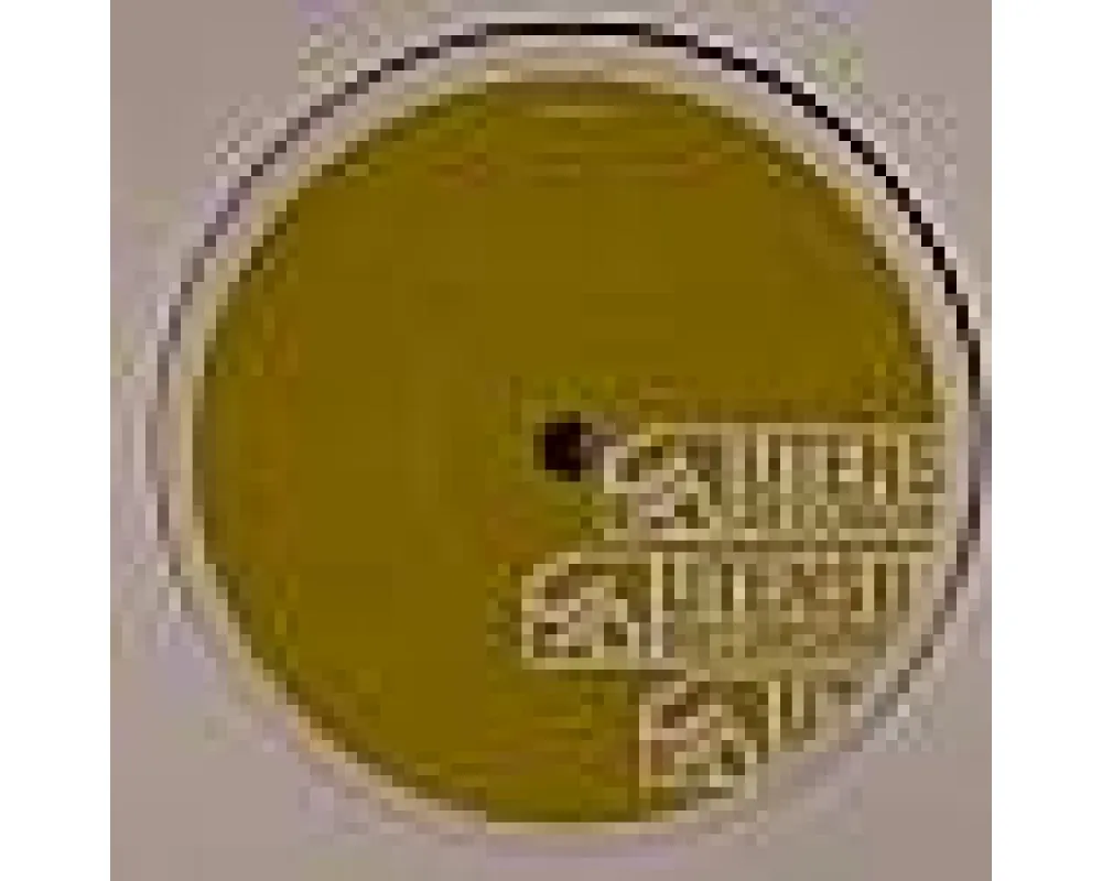 Galen - Playing Games (Claude Vonstroke - Rob Mello rmxs)
