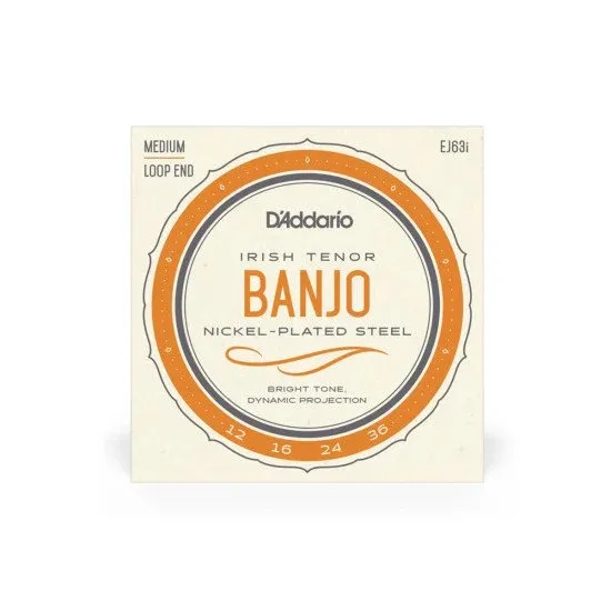 Daddario SET CORDAS BANJO Irish Tenor Set EJ63I