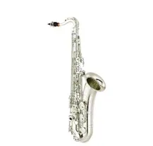 Saxofone Tenor Yamaha YTS480S Prateado