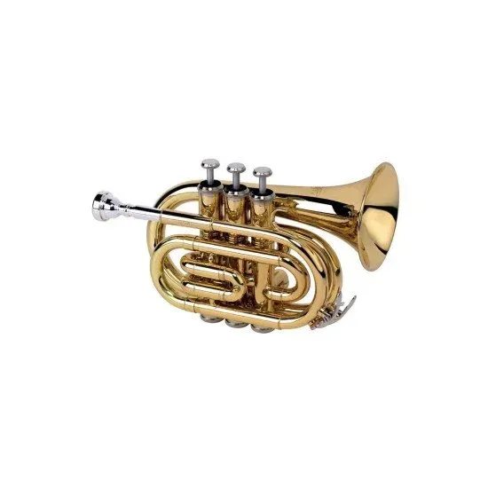 Alysee TR 6500