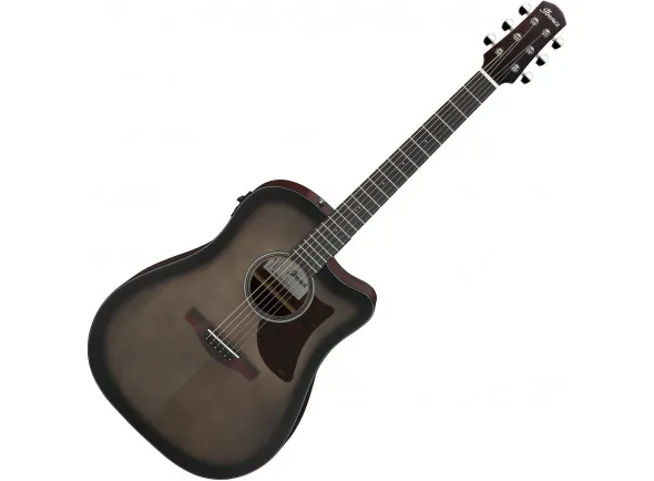 Ibanez AAD50CE-TCB