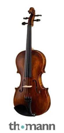 Stentor SR1864 Verona Violin 4/4