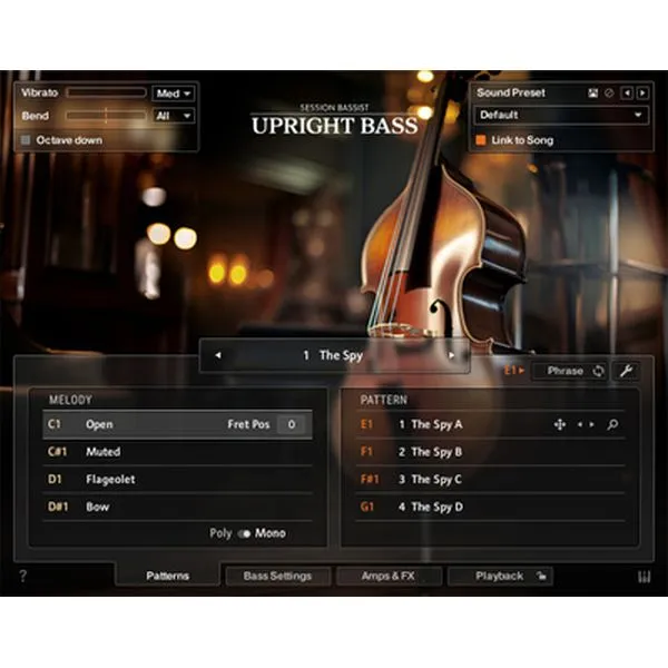 Native Instruments Session Bassist Upright Bass