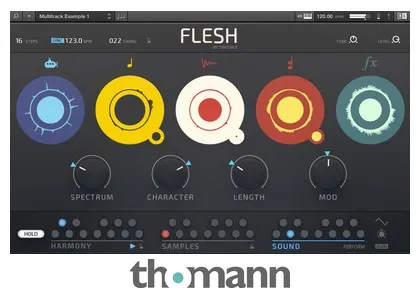 Native Instruments Flesh