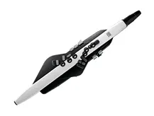 Roland Aerophone AE-20