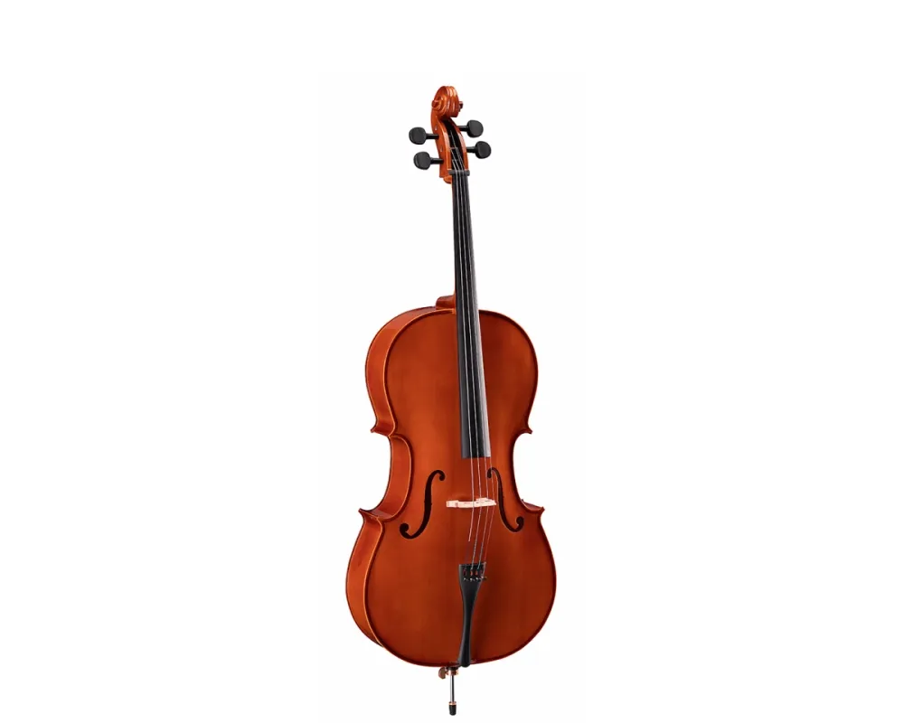 Soundsation Virtuoso Student VSCE-12