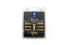 Pino Guitarra Folk Planet Waves PW-PS7