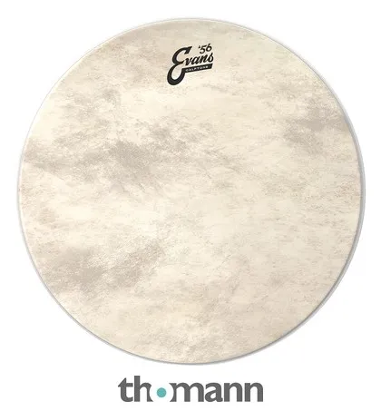 Evans 16" Calftone Bass / Tom