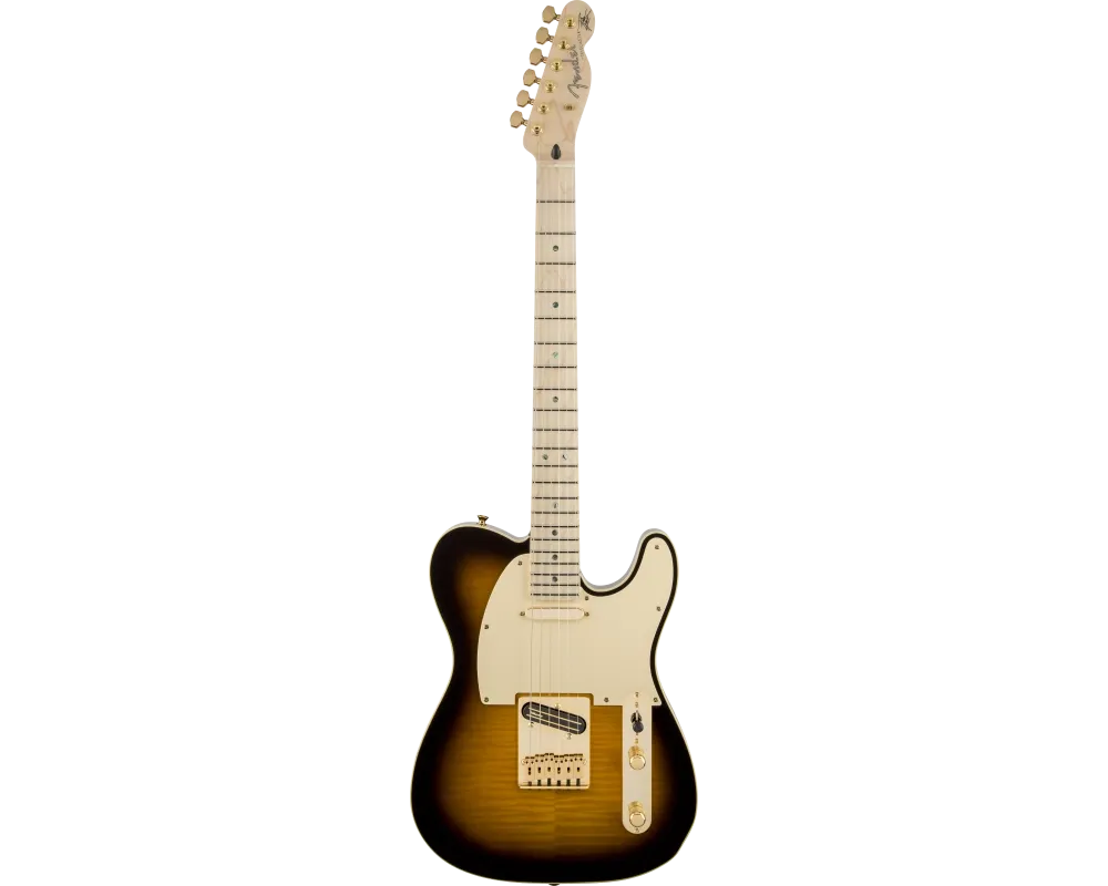 Fender Richie Kotzen Telecaster MN Brown Sunburst