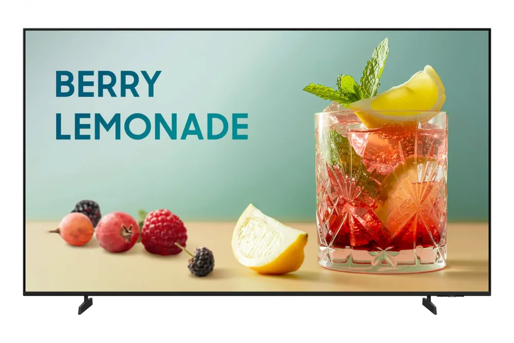 Samsung BE65FX-H Plasma digital 165,1 cm (65") LED LH65BEFHLGUXEN