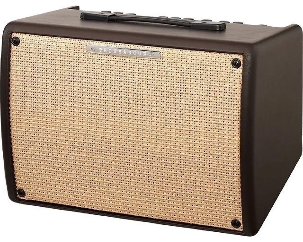 Ibanez T30II Acoustic Combo