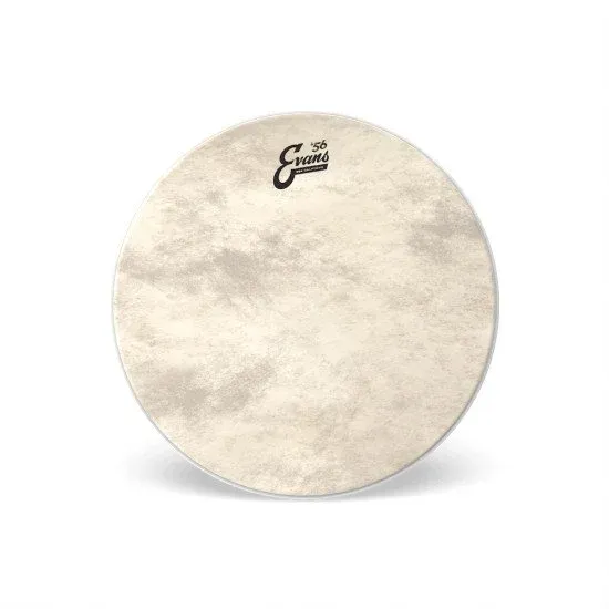 Evans 16" Calftone EQ4
