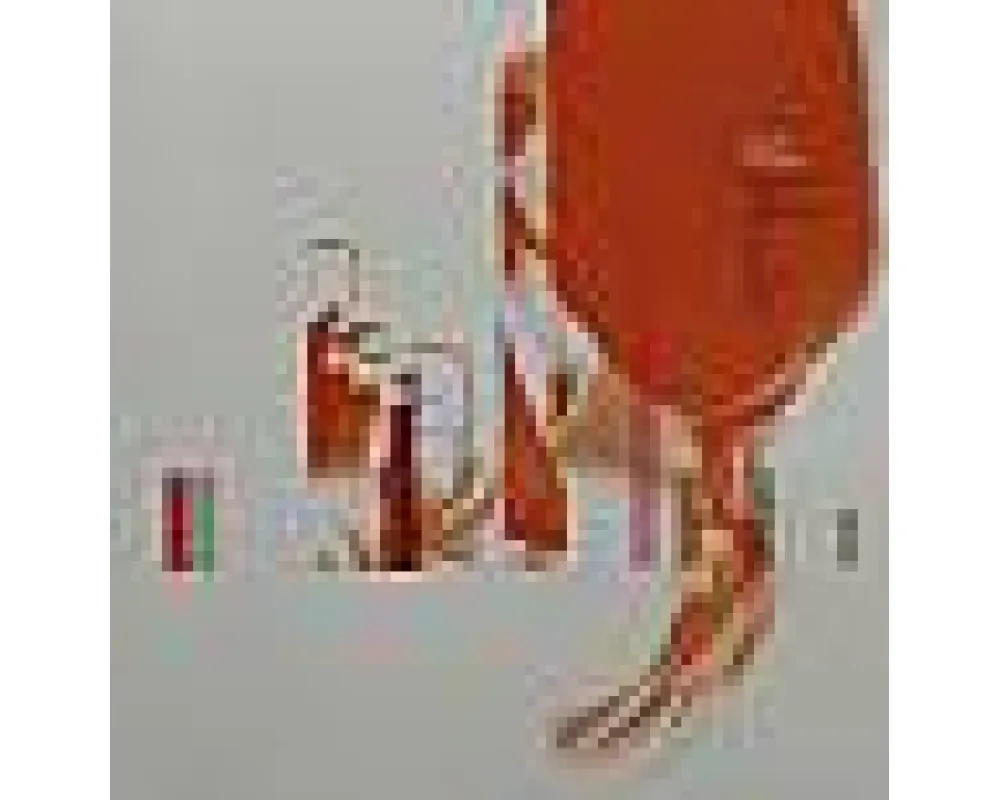 Swirl People feat. Ingrid Hakanson - I ll Be A Freak For You