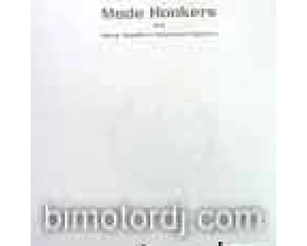 Mode Hookers aka Steve Angello & Sebastian Ingrosso - B
