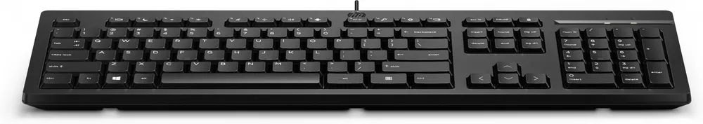 Teclado com fio HP 125 - receptor USB - preto, BULK 12un 266C9A6#ABB
