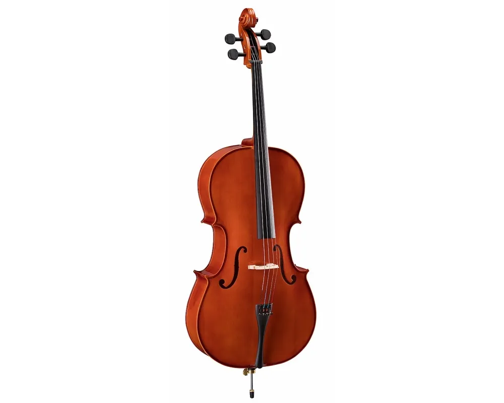 Soundsation Virtuoso Student VSCE-44