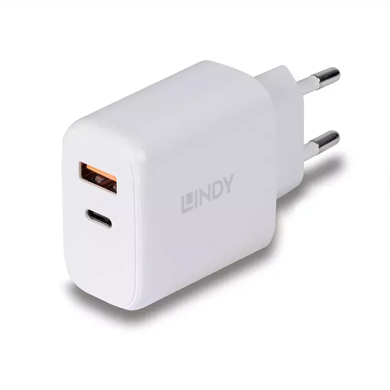 30W USB TYPE A & C CHARGER