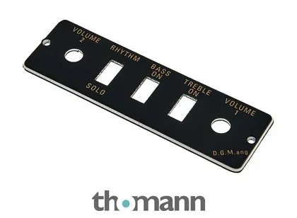 Höfner HA2B-B Black Panel only
