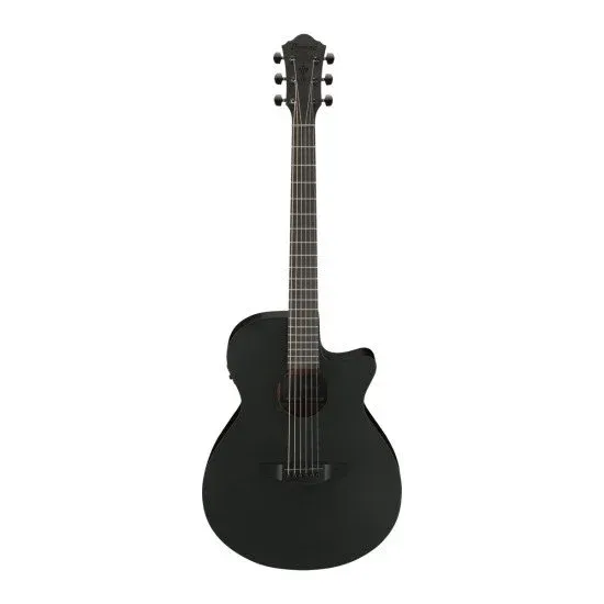 Ibanez AEG621 BOT