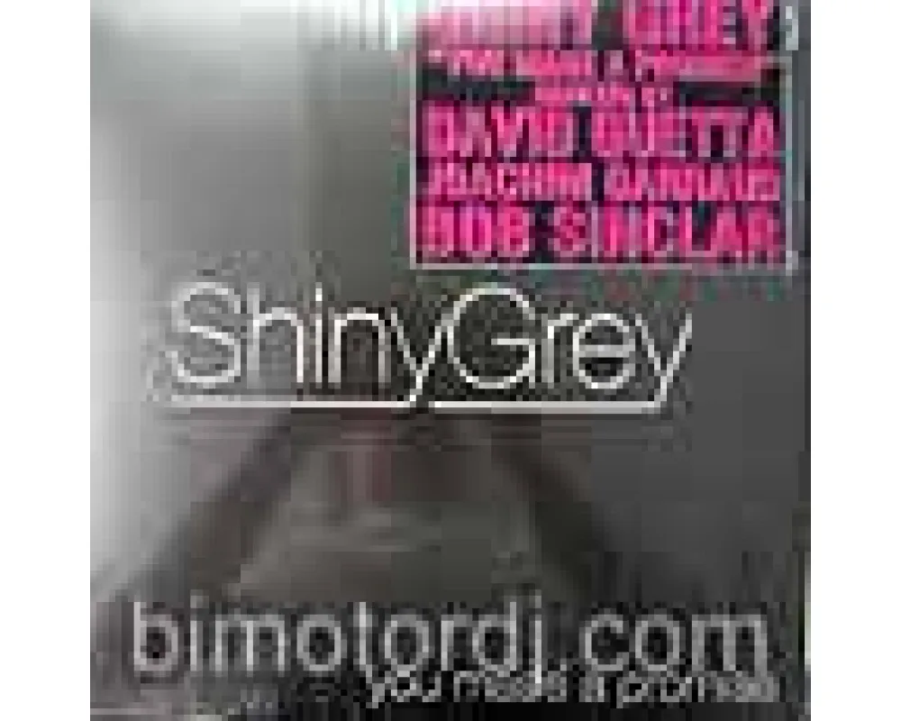 Shiny Grey - You made a promise (david guetta + bob sinclar)